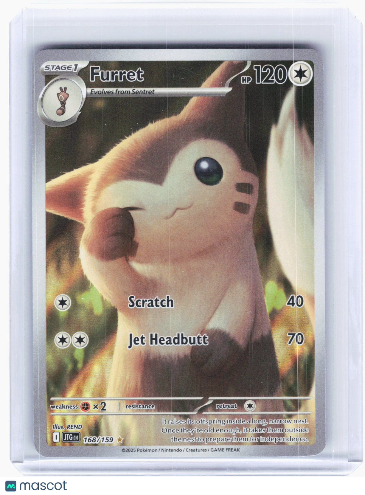 2025 Pokemon—Furret #168 Journey Together—Illustration Rare Holo