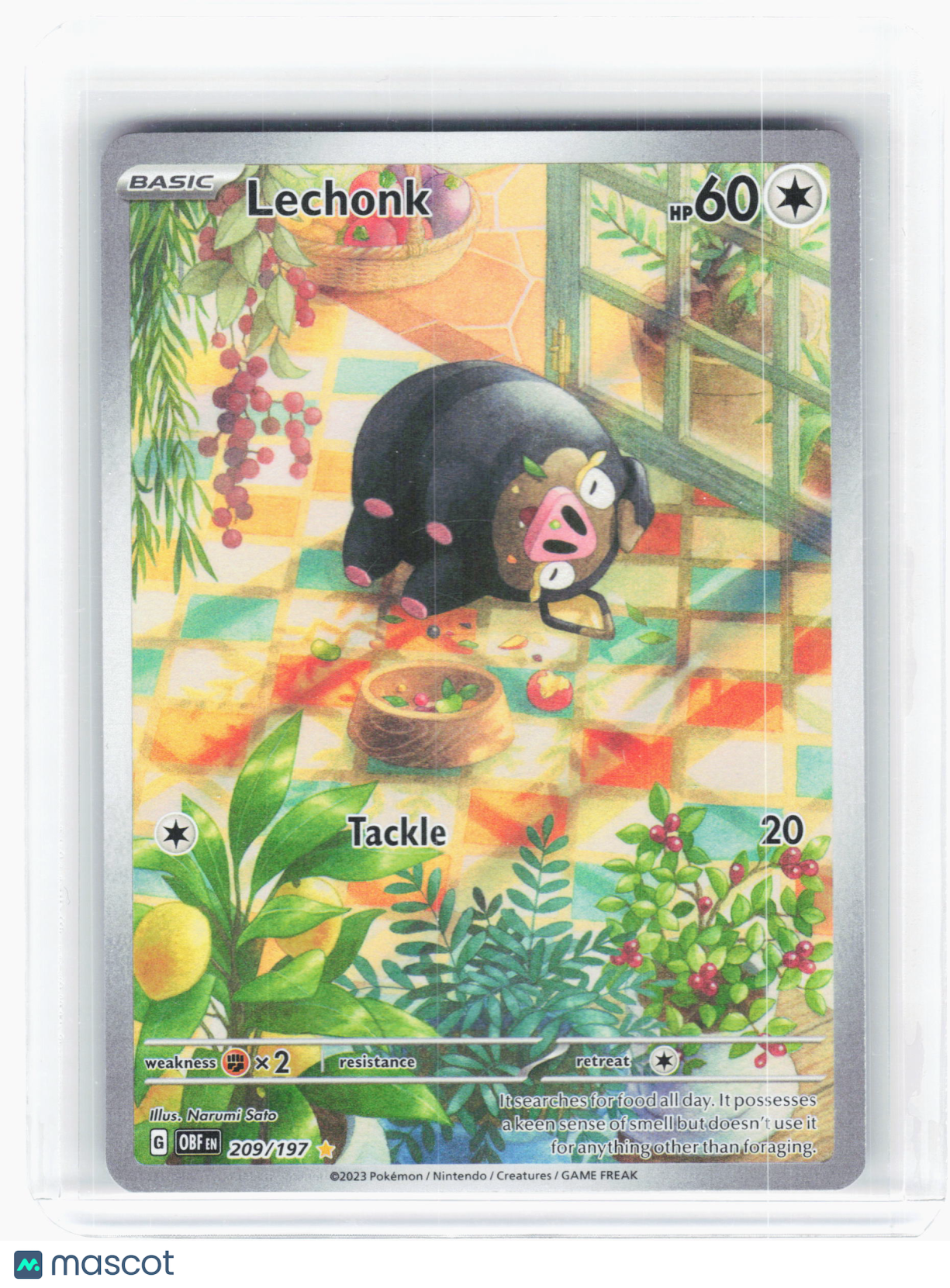 2023 Pokemon—Lechonk #209 Obsidian Flames—Illustration Rare Holo