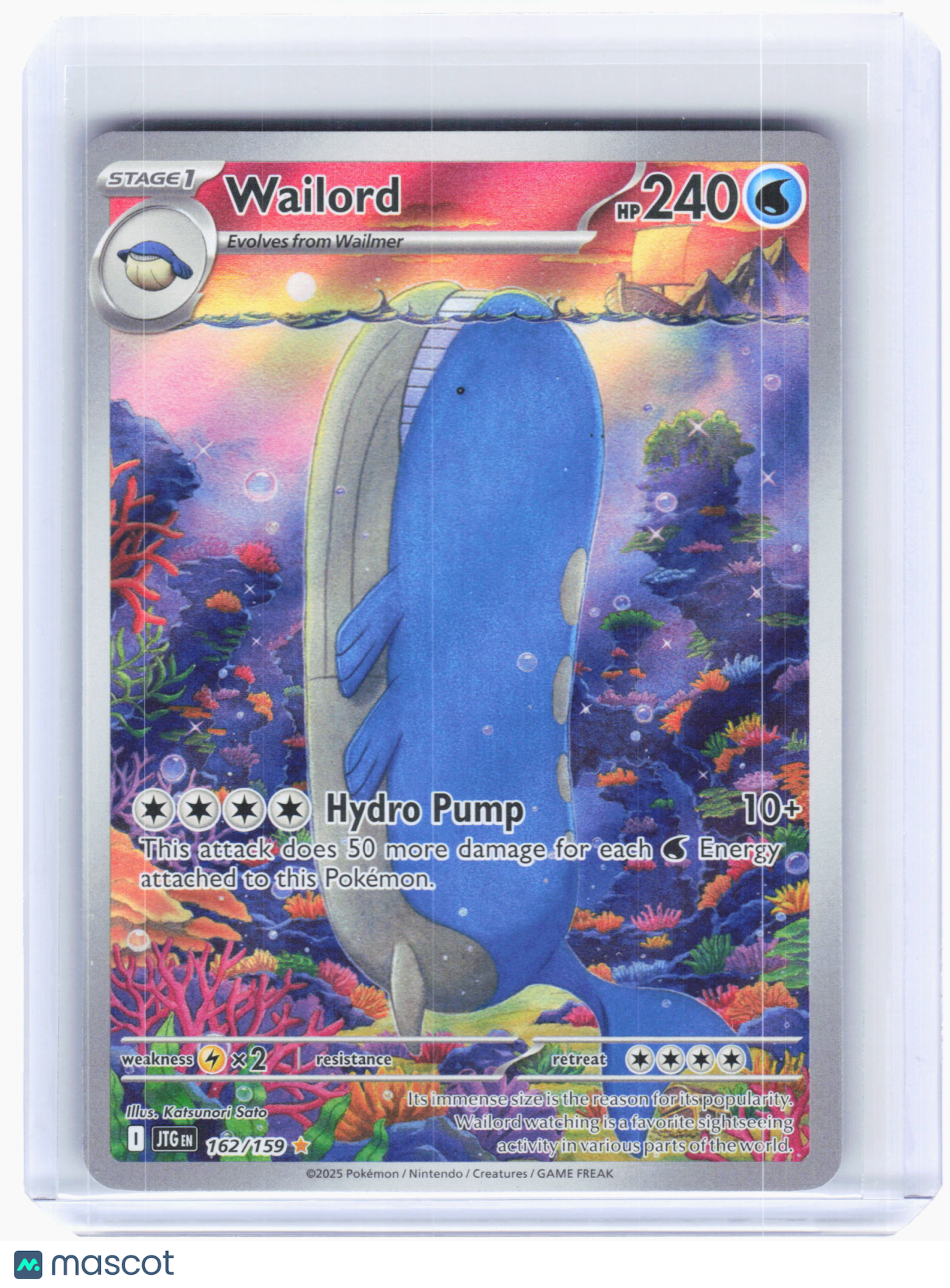 2025 Pokemon—Wailord #162 Journey Together—Illustration Rare Holo