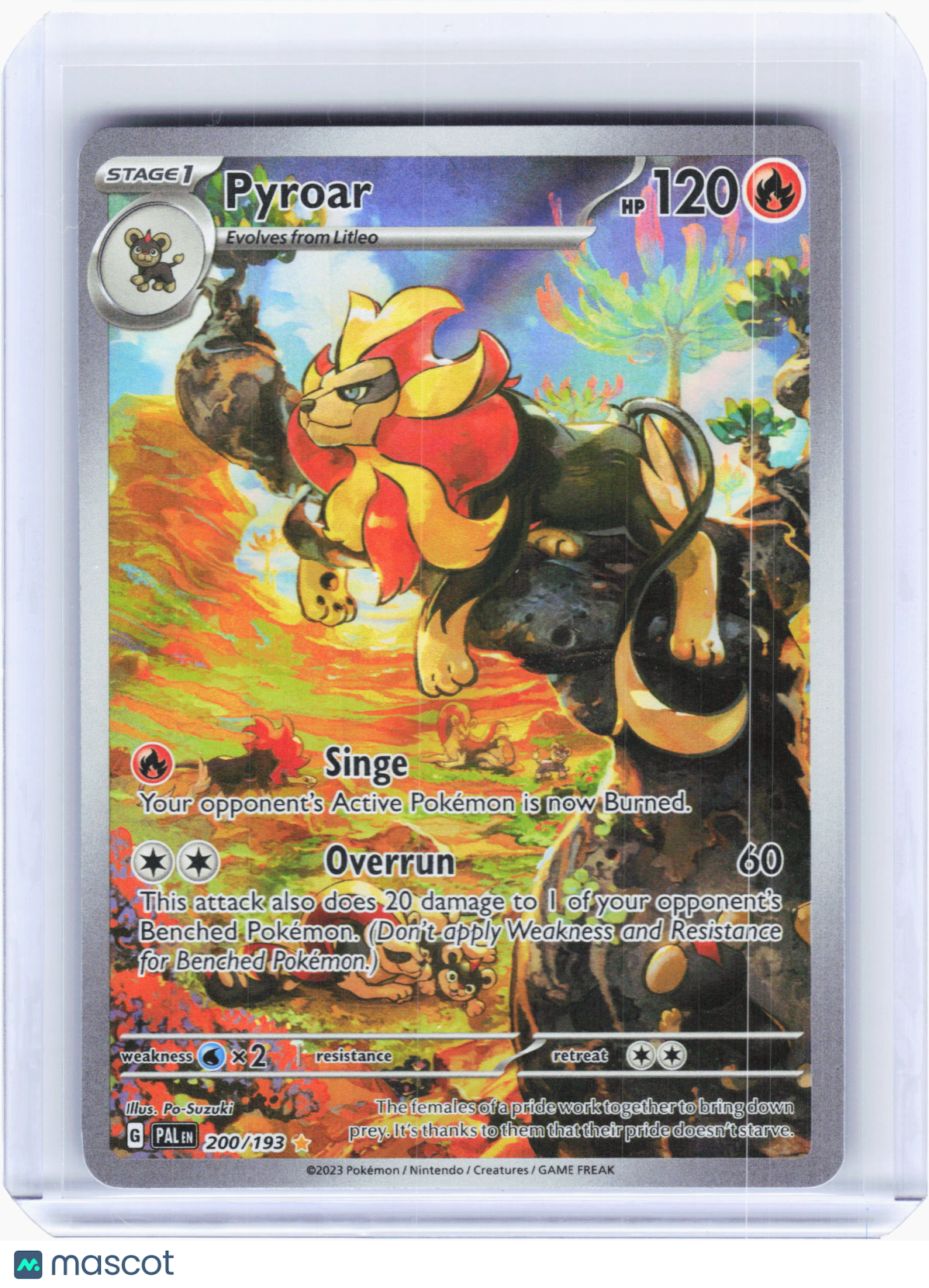 2023 Pokemon—Pyroar #200 Paldea Evolved—Illustration Rare Holo [Lightly Played]