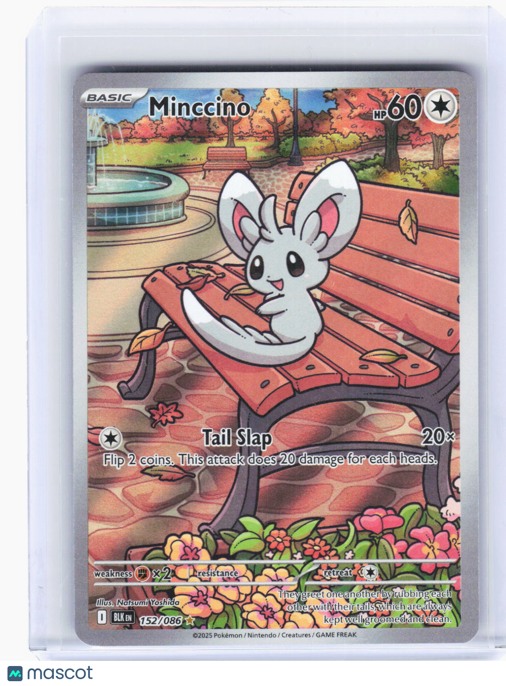 2025 Pokemon—Minccino #152/86 Black Bolt—Illustration Rare Foil