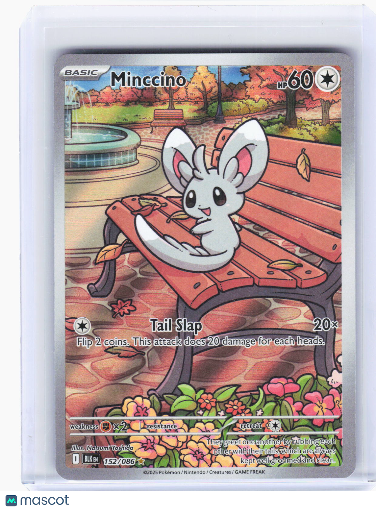 2025 Pokemon—Minccino #152/86 Black Bolt—Illustration Rare Foil