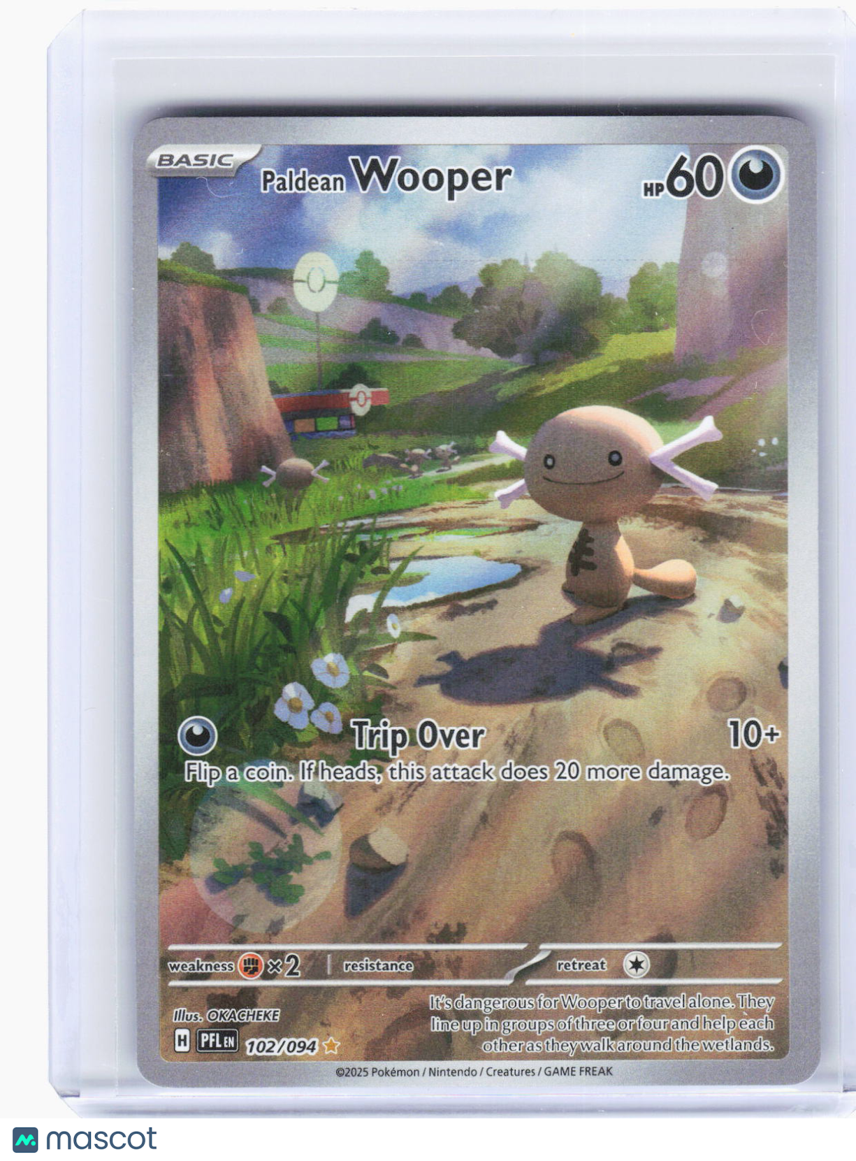 2025 Pokemon—Paldean Wooper #102/94 Phantasmal Flames—Illustration Rare Foil