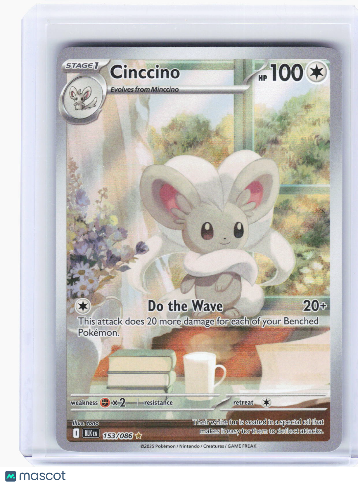 2025 Pokemon—Cinccino #153/86 Black Bolt—Illustration Rare Foil