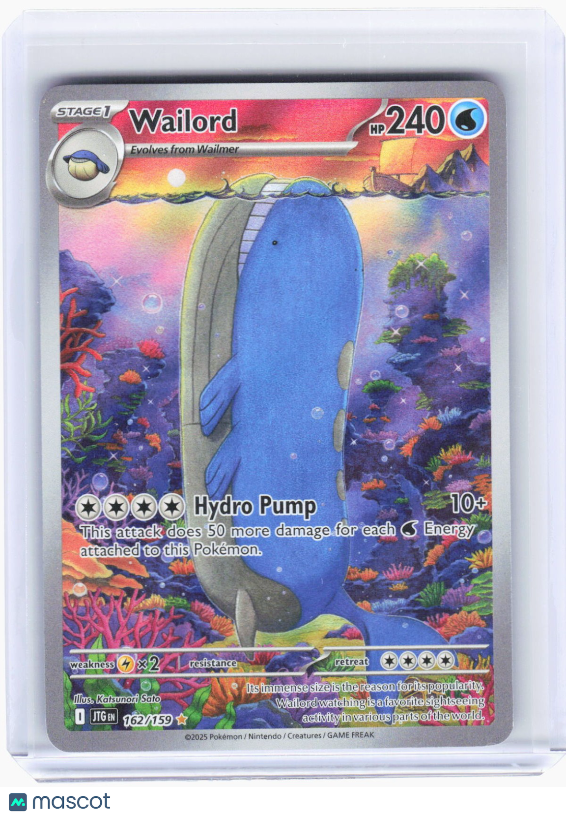 2025 Pokemon—Wailord #162/159 Journey Together—Illustration Rare Foil