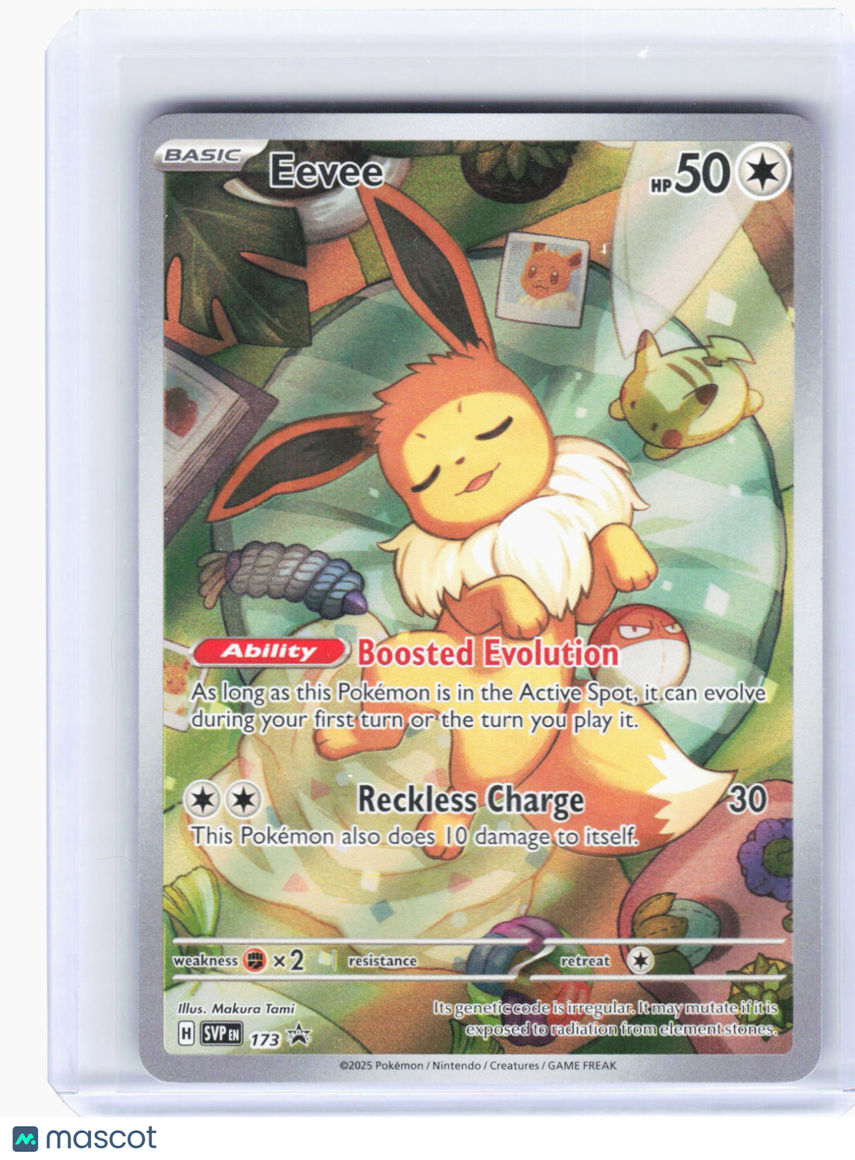 2025 Pokemon—Eevee #SVP EN 173 Scarlet & Violet Promo Cards—BSP Foil