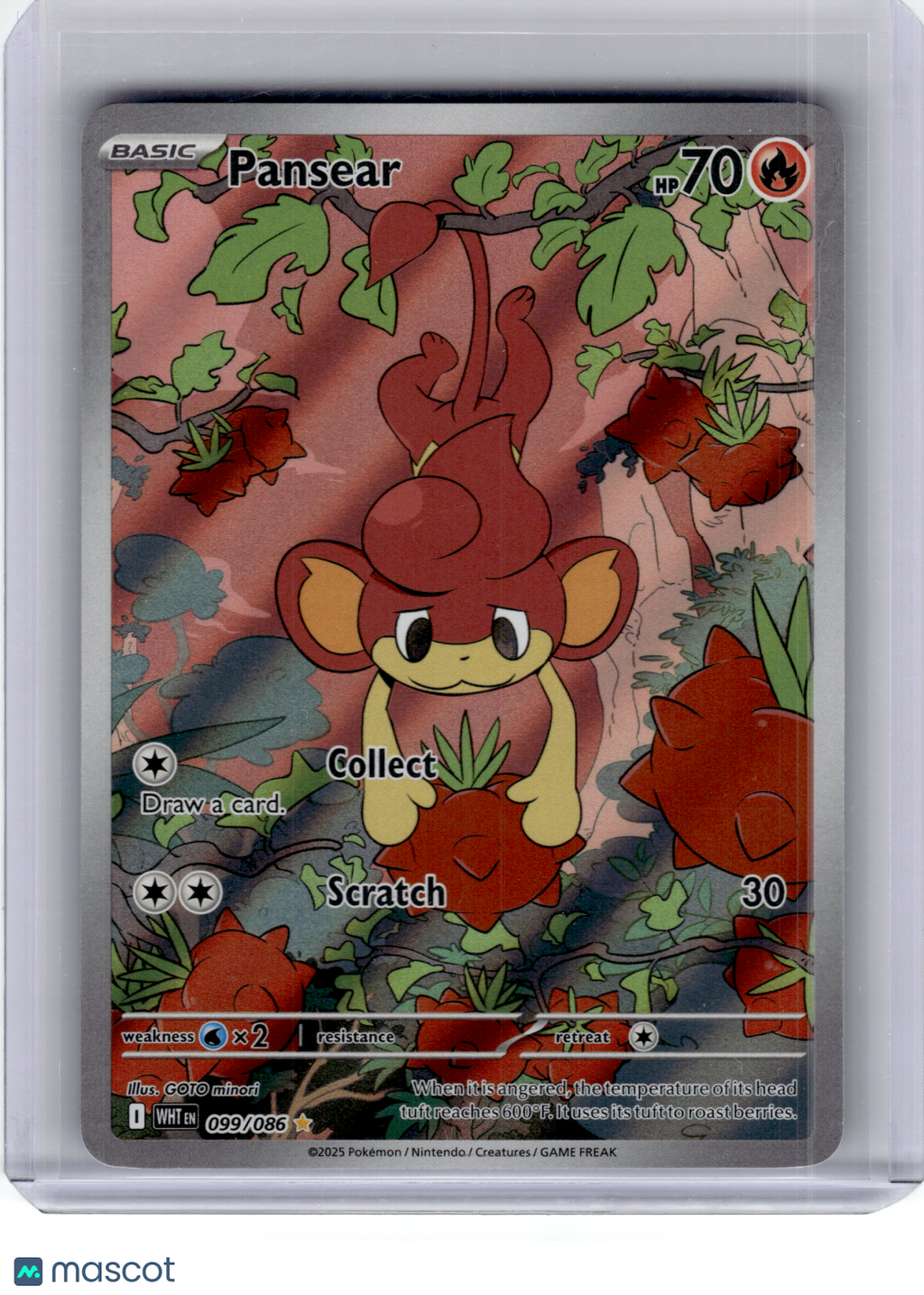 2025 Pokemon—Pansear #99 White Flare—Illustration Rare Holo