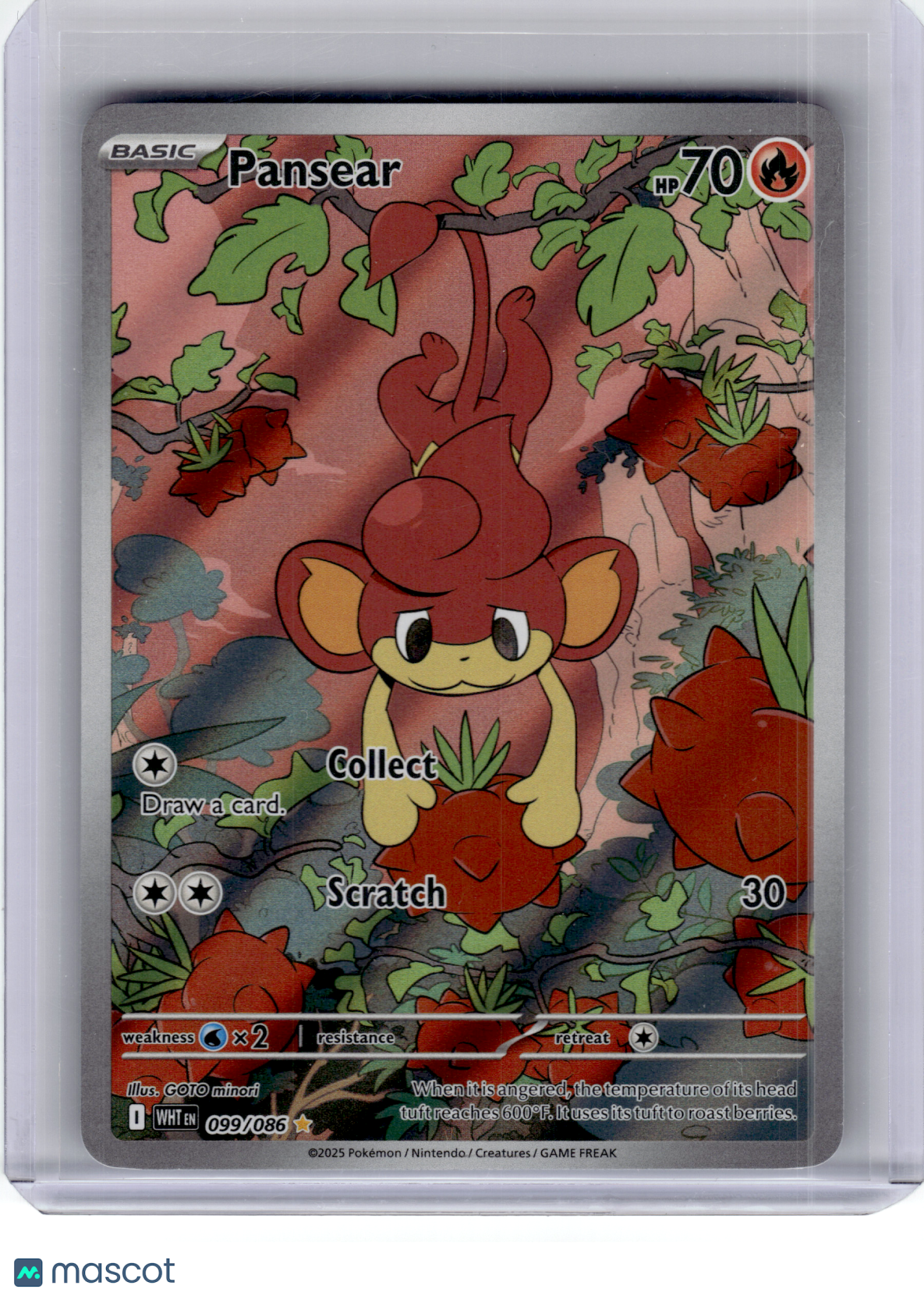 2025 Pokemon—Pansear #99 White Flare—Illustration Rare Holo
