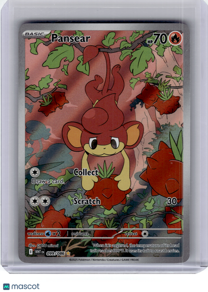 2025 Pokemon—Pansear #99 White Flare—Illustration Rare Holo
