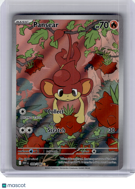 2025 Pokemon—Pansear #99 White Flare—Illustration Rare Holo