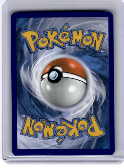 2020 Pokemon—Eevee GX #SM242 Sun & Moon—Black Star Promo Holo