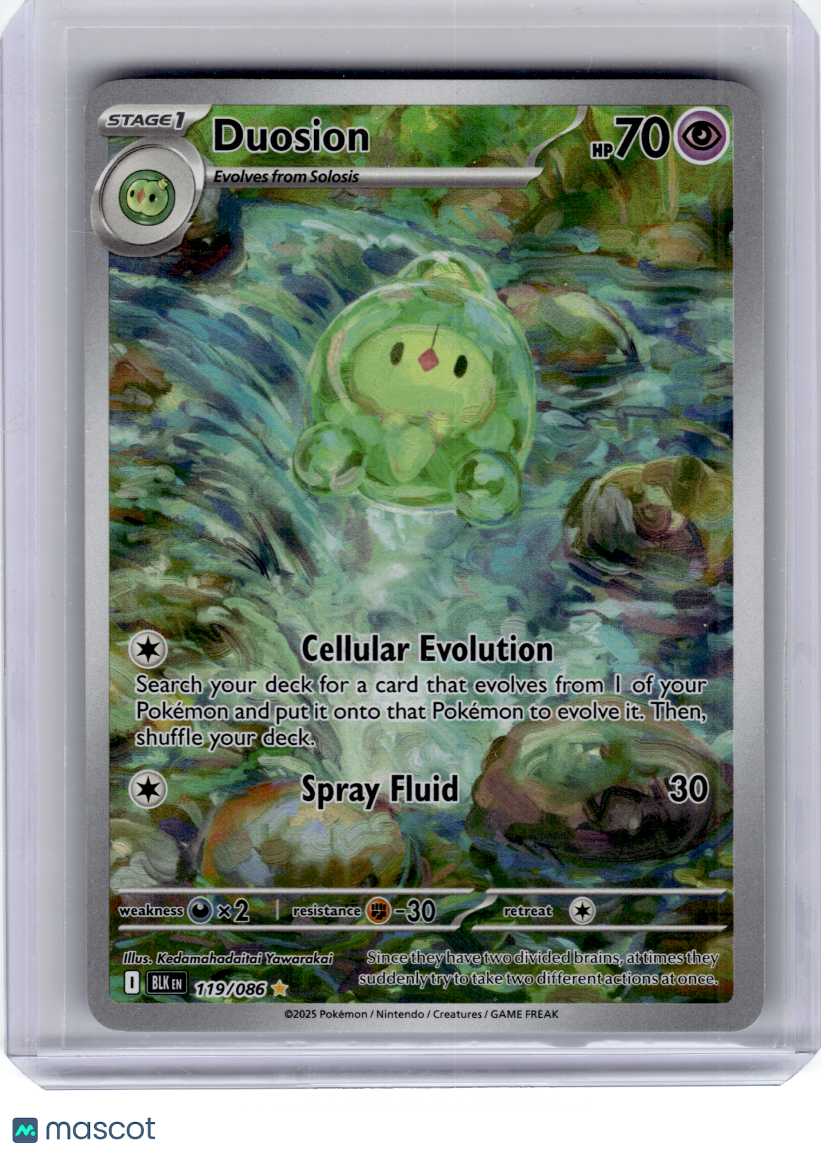 2025 Pokemon—Duosion #119 Black Bolt—Illustration Rare Holo