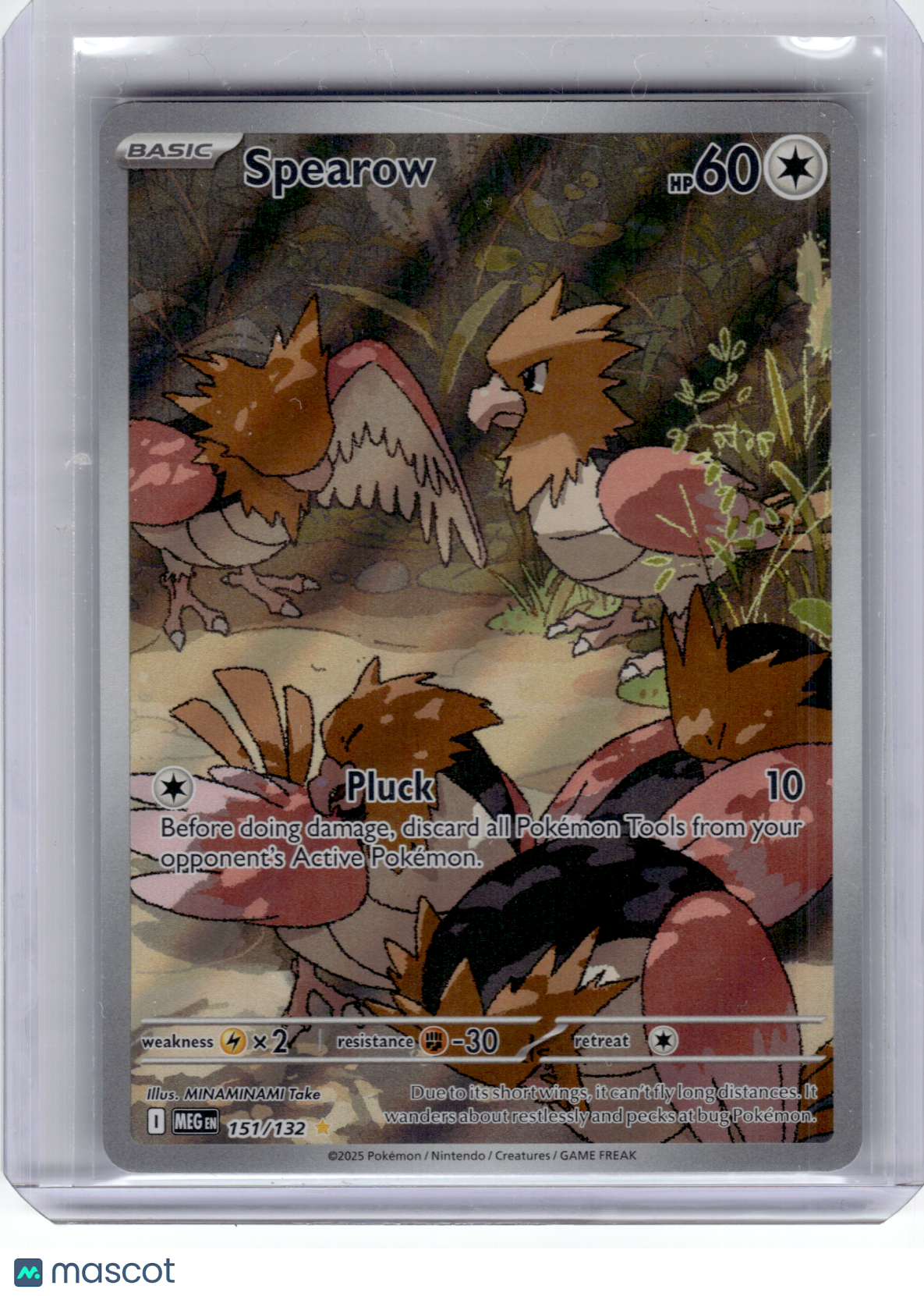 2025 Pokemon—Spearow #151 Mega Evolution—Illustration Rare Holo