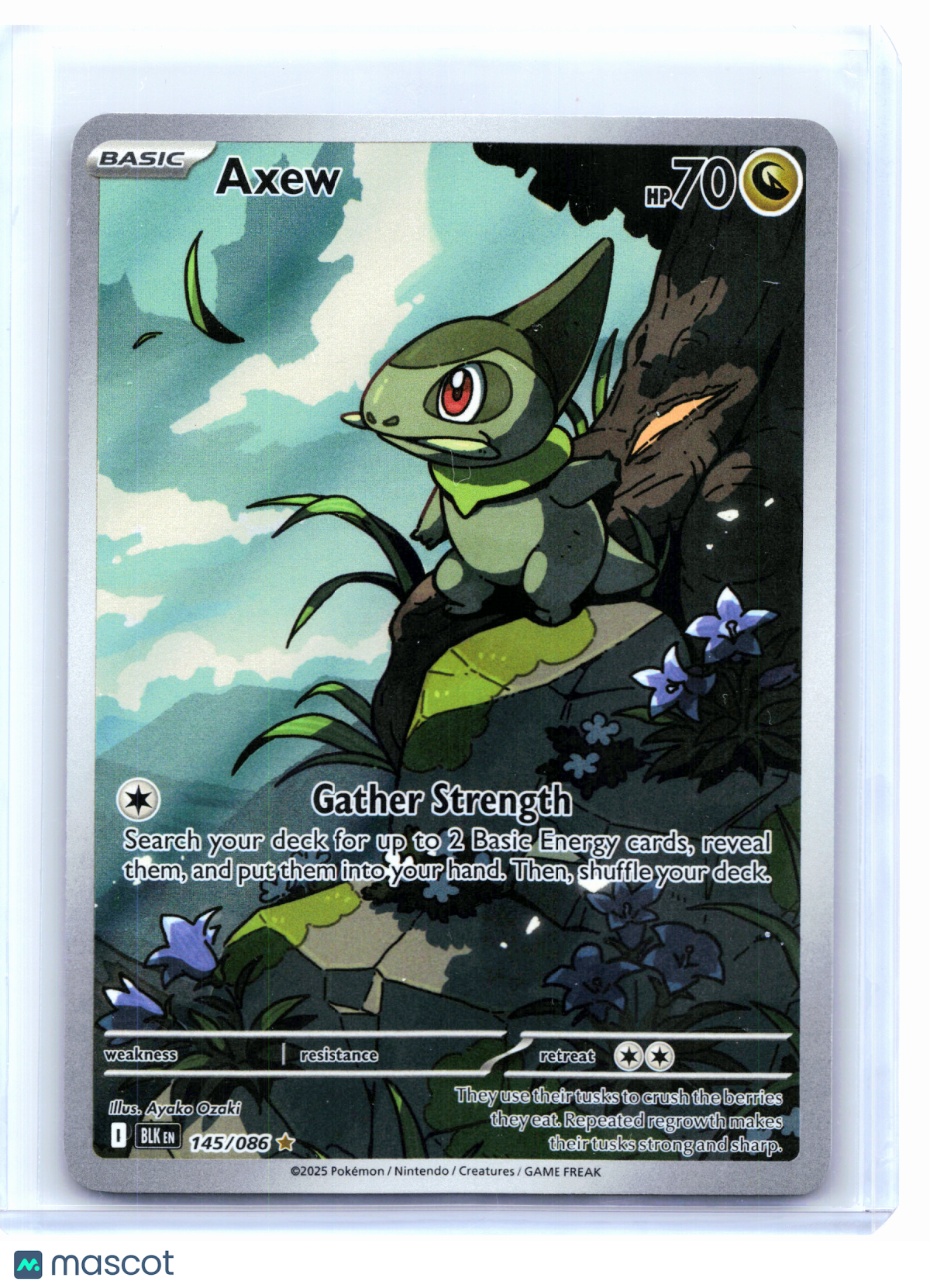 2025 Pokemon—Axew #145/086 Black Bolt—Illustration Rare Holo