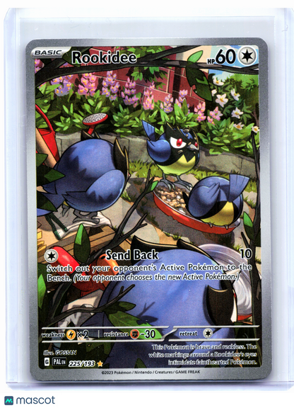 2023 Pokemon—Rookidee #225/193 Paldea Evolved—Illustration Rare Holo [MP]