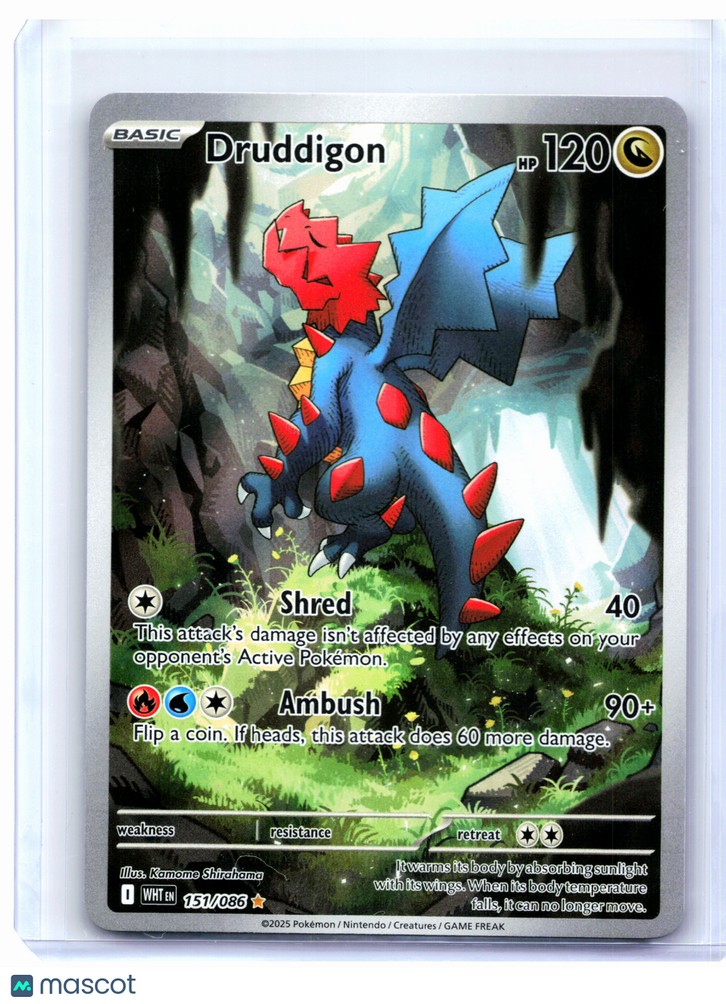 2025 Pokemon—Druddigon #151/086 White Flare—Illustration Rare Holo