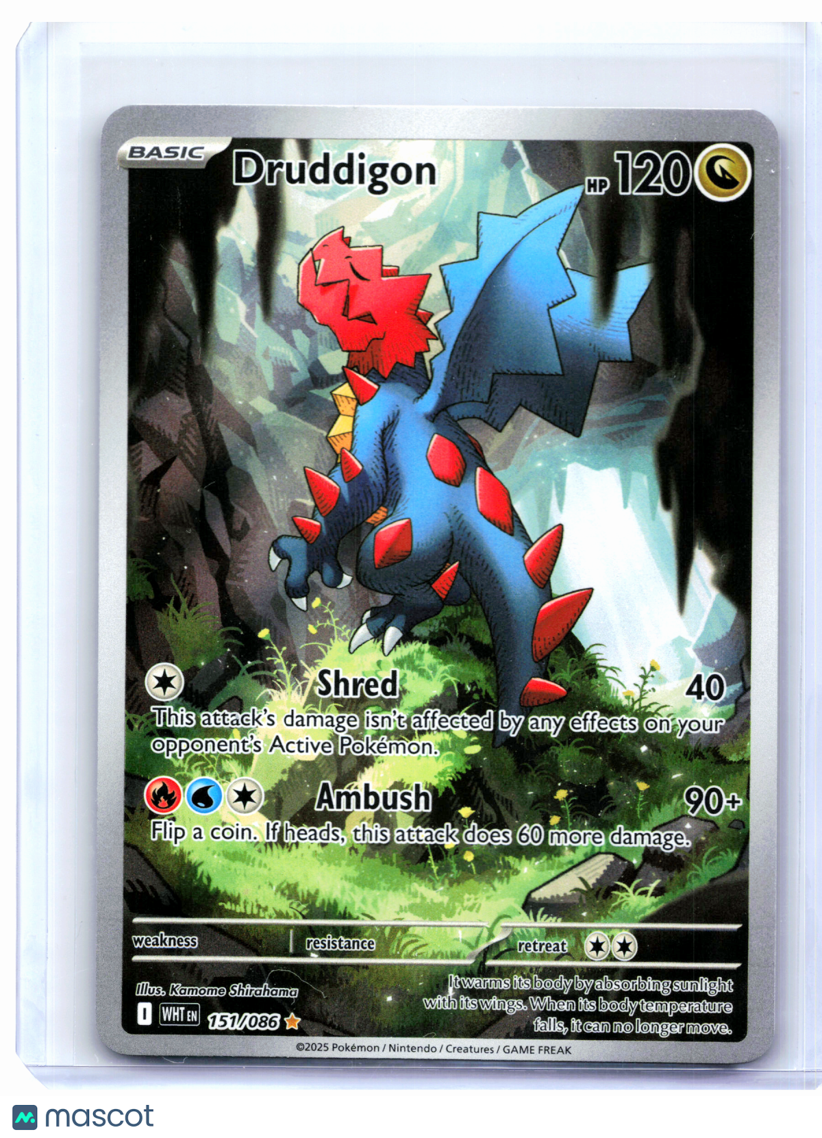 2025 Pokemon—Druddigon #151/086 White Flare—Illustration Rare Holo