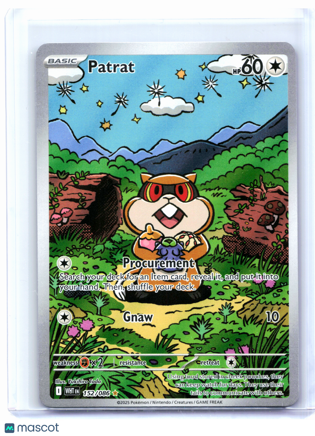 2025 Pokemon—Patrat #152/086 White Flare—Illustration Rare Holo
