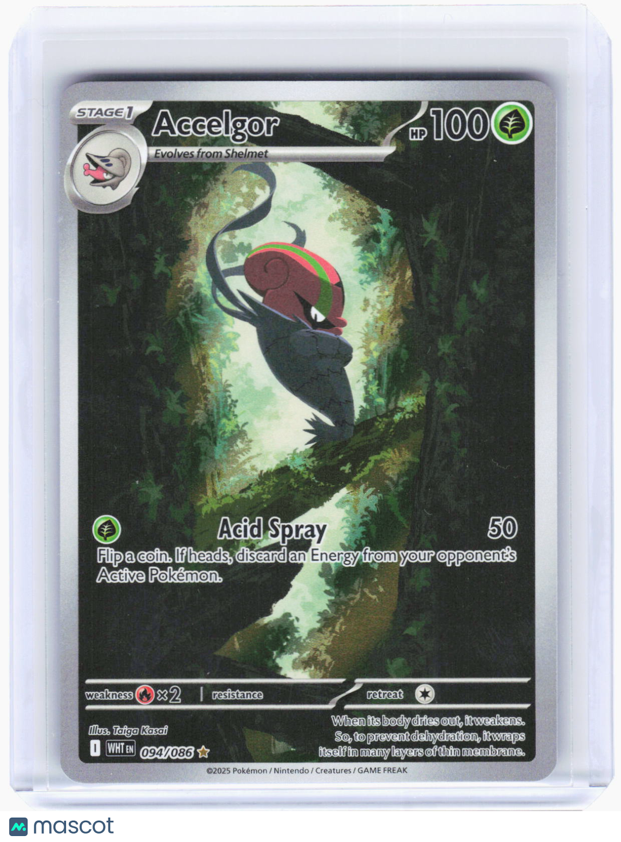 2025 Pokemon—Accelgor #94/86 White Flare—Illustration Rare Foil