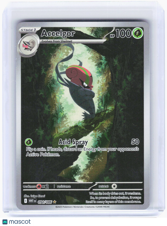 2025 Pokemon—Accelgor #94/86 White Flare—Illustration Rare Foil