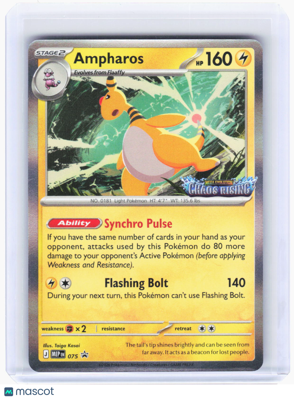 2026 Pokemon—Ampharos #075 Mega Evolution Promo—Black Star Promo Foil