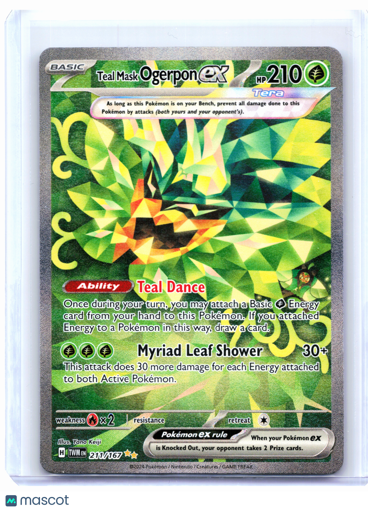 2024 Pokemon—Teal Mask Ogerpon ex #211/167 Twilight Masquerade—SIR Holo