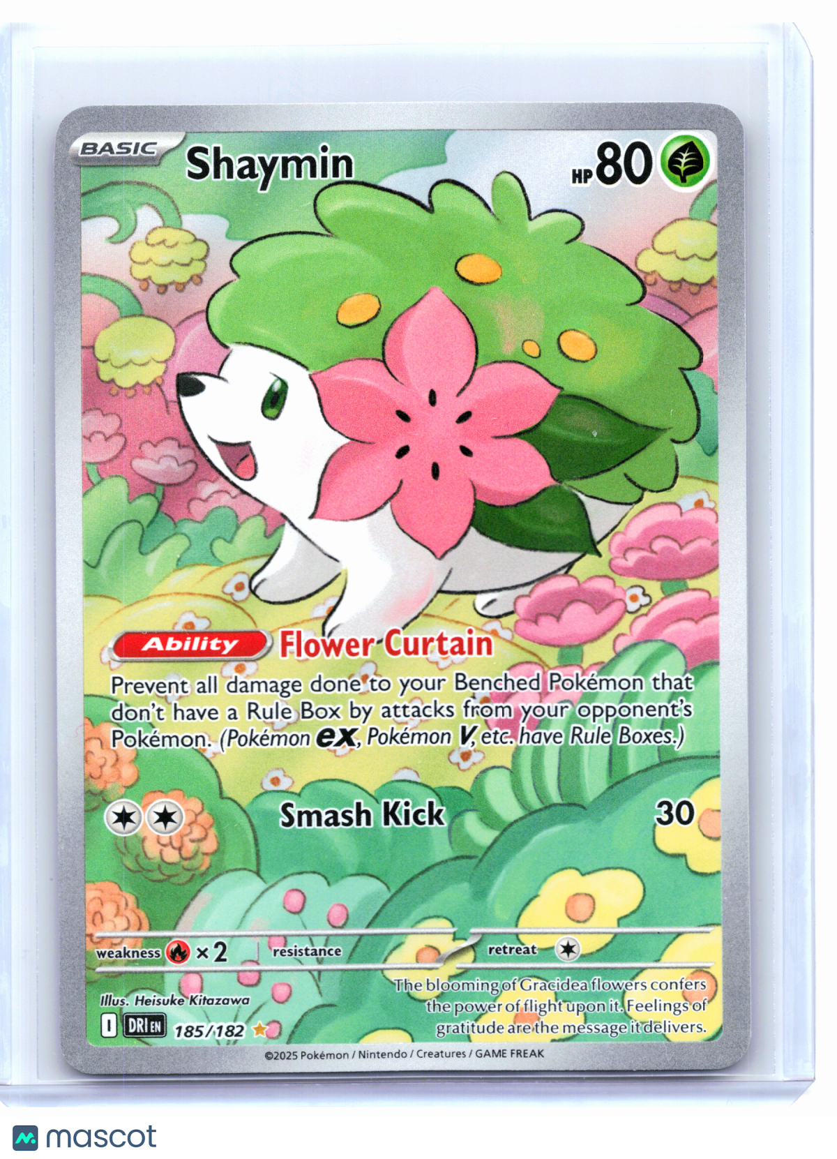 2025 Pokemon—Shaymin #185/182 Destined Rivals—Illustration Rare Holo