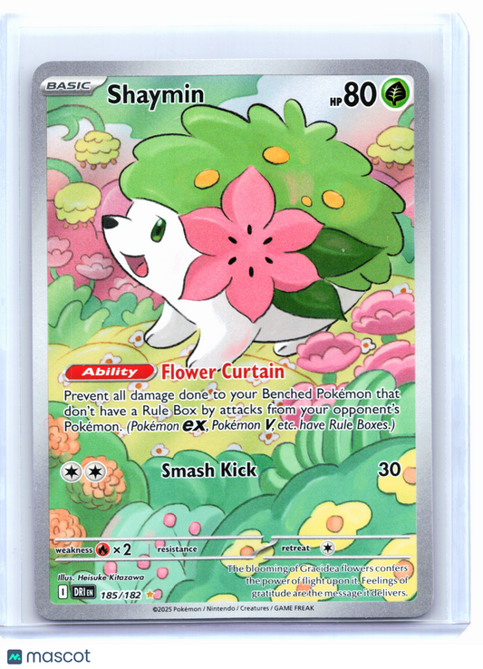 2025 Pokemon—Shaymin #185/182 Destined Rivals—Illustration Rare Holo