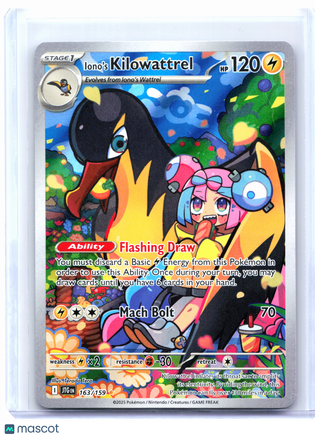 2025 Pokemon—Iono's Kilowattrel #163/159 Journey Together—Illustration Rare Holo