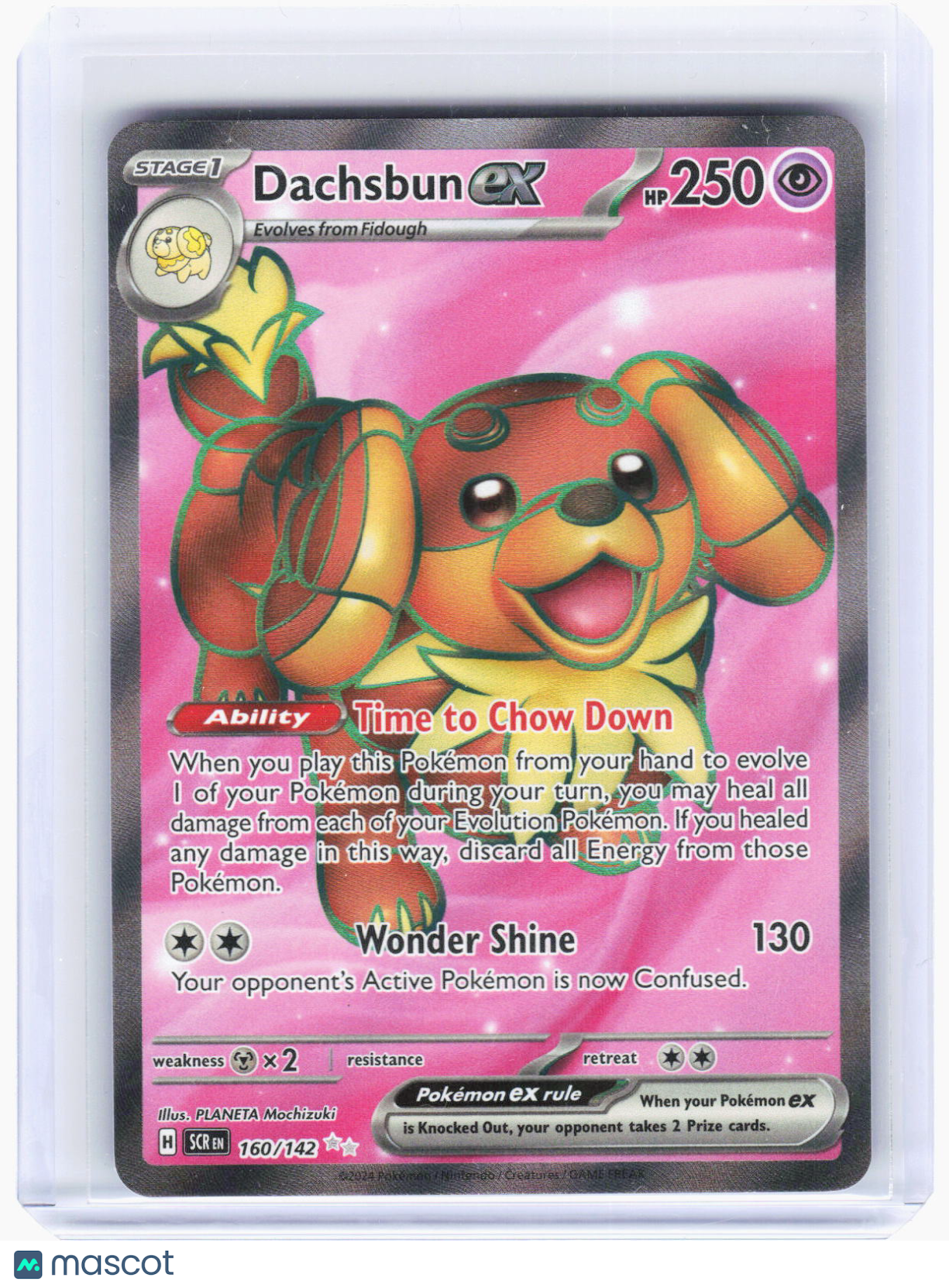 2024 Pokemon—Dachsbun ex #160/142 Stellar Crown—Ultra Rare Foil