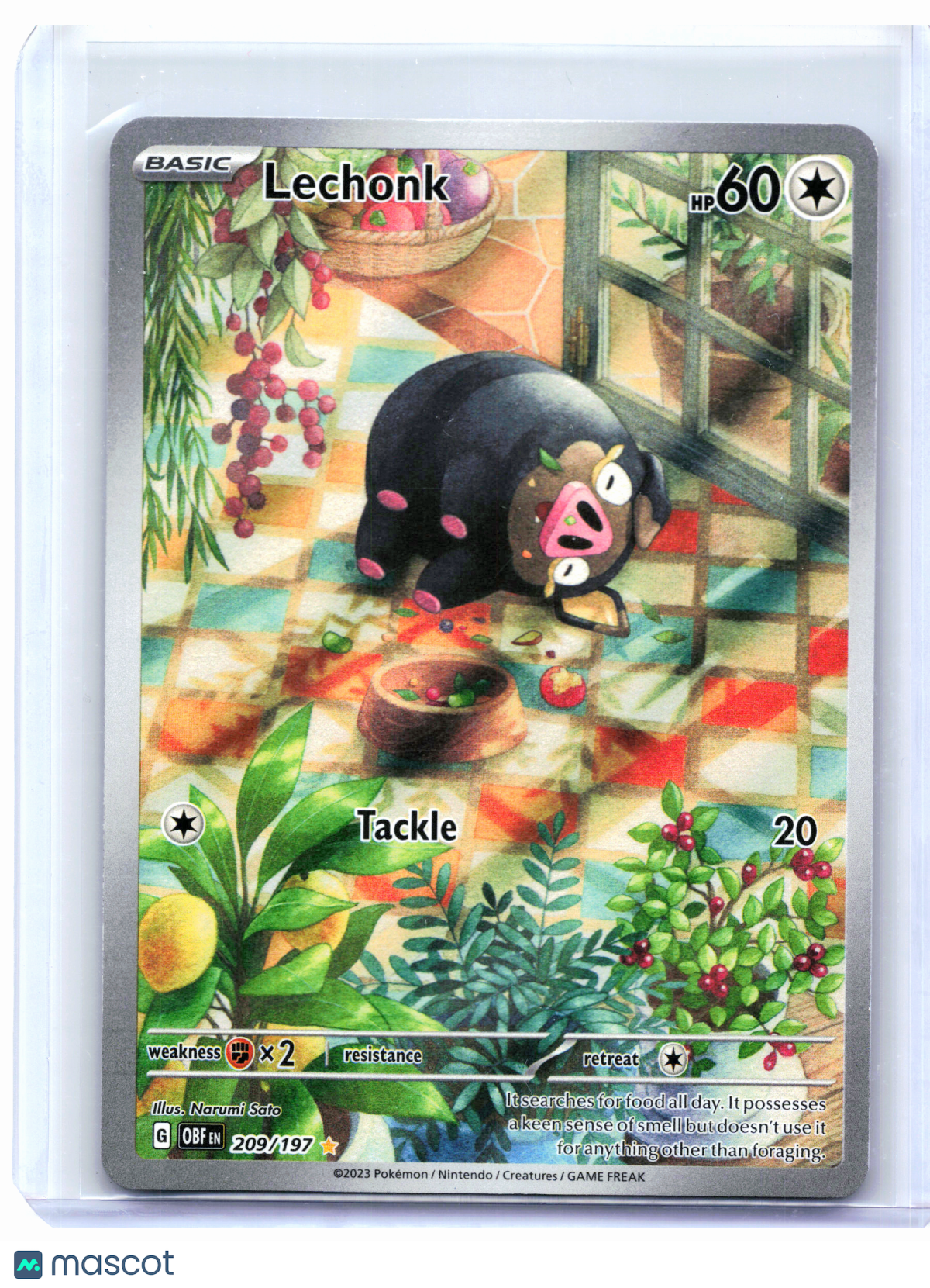 2023 Pokemon—Lechonk #209/197 Obsidian Flames—Illustration Rare Holo