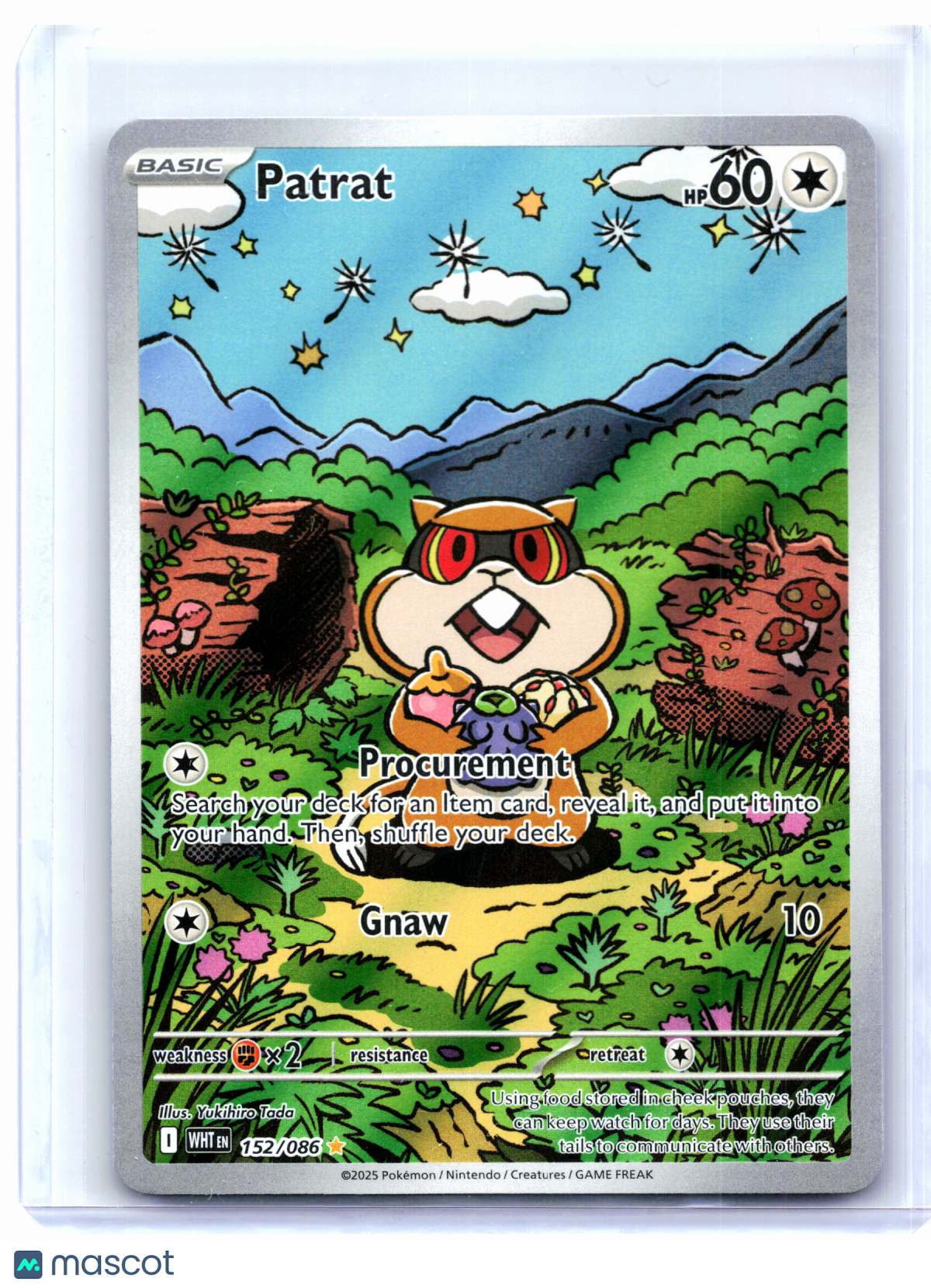 2025 Pokemon—Patrat #152/086 White Flare—Illustration Rare Holo