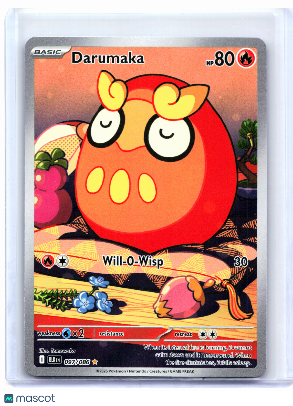 2025 Pokemon—Darumaka #097/086 Black Bolt—Illustration Rare Holo