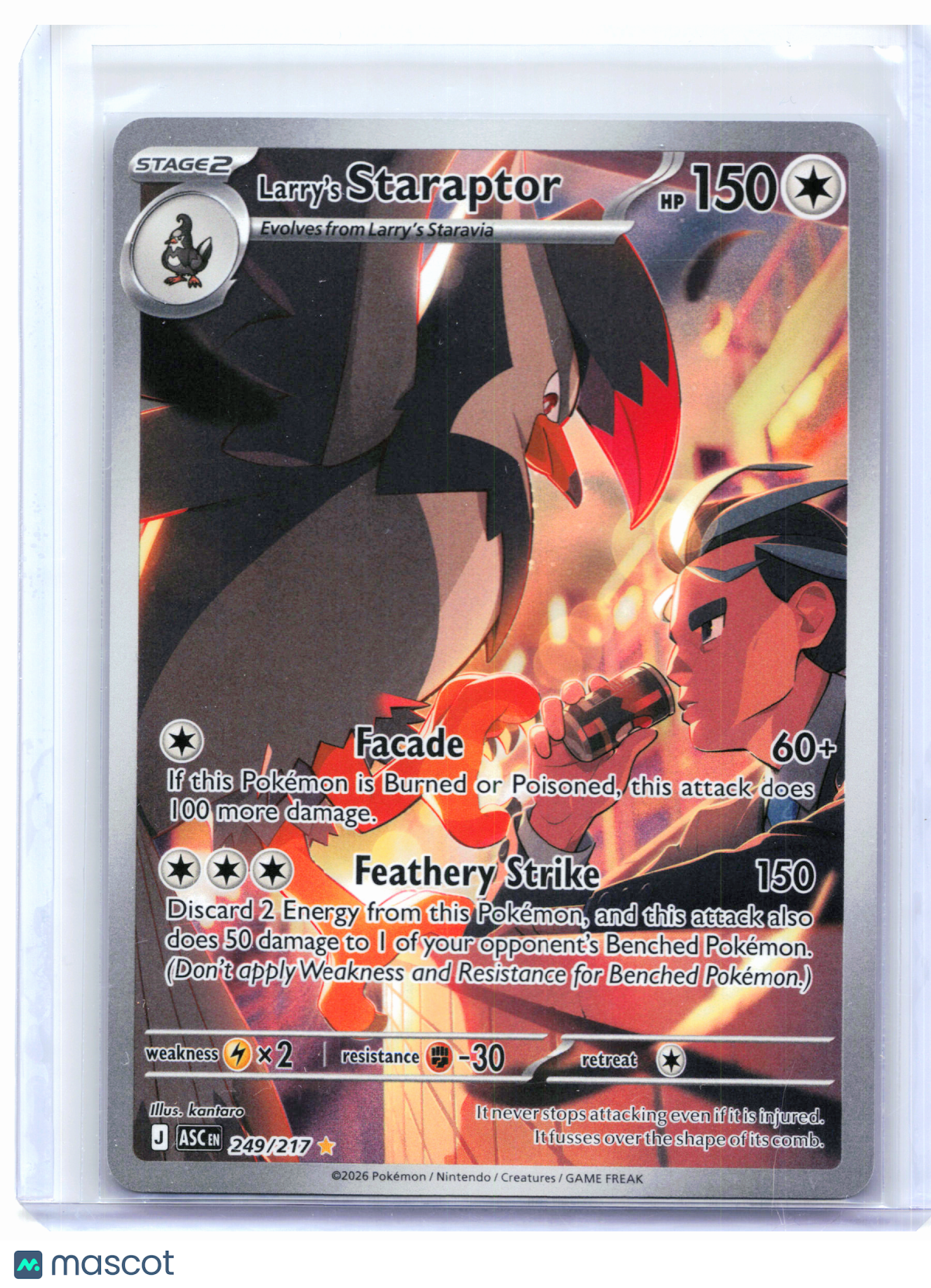 2026 Pokemon—Larry's Staraptor #249/217 Ascended Heroes—Illustration Rare Holo