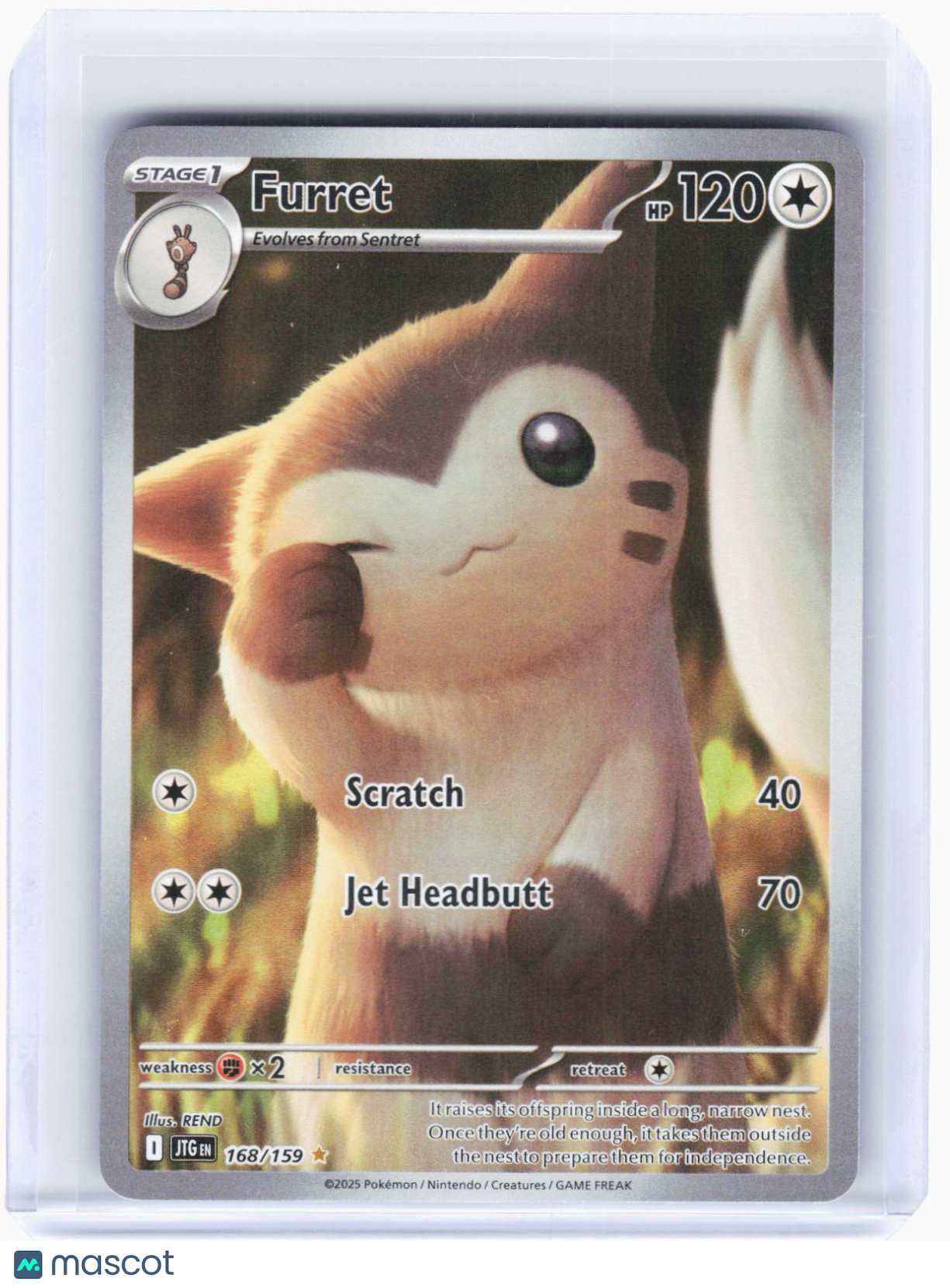 2025 Pokemon—Furret #168/159 Journey Together—Illustration Rare Foil