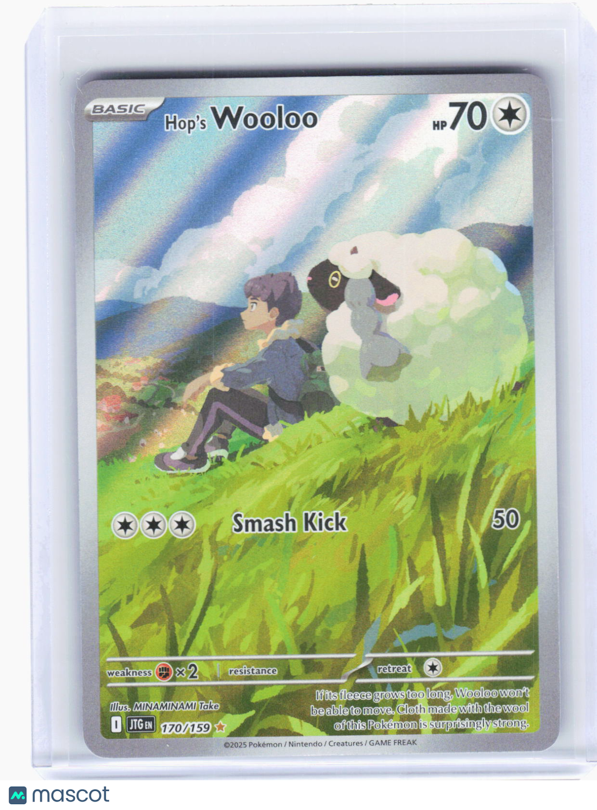 2025 Pokemon—Hop's Wooloo #170/159 Journey Together—Illustration Rare Foil