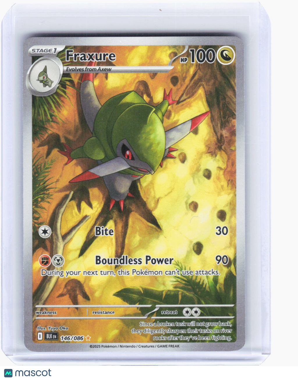 2025 Pokemon—Fraxure #146/86 Black Bolt—Illustration Rare Foil