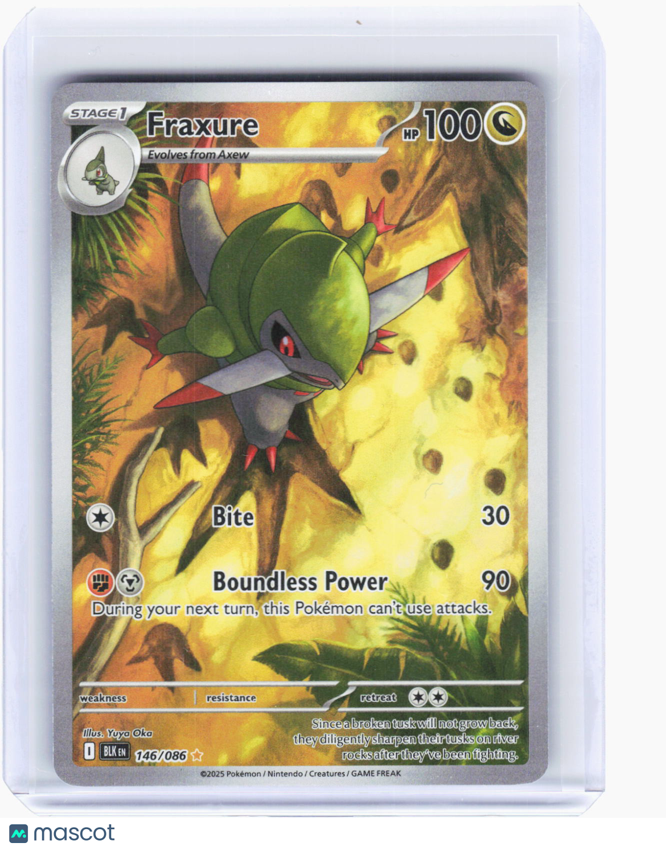2025 Pokemon—Fraxure #146/86 Black Bolt—Illustration Rare Foil