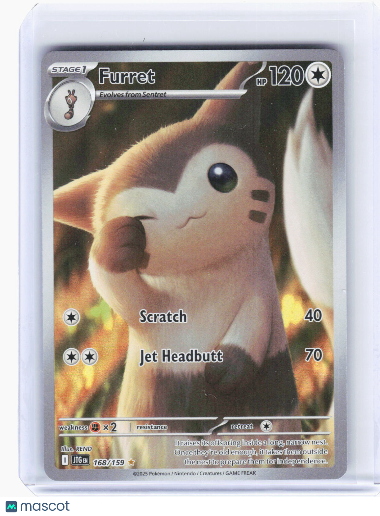 2025 Pokemon—Furret #168/159 Journey Together—Illustration Rare Foil ( – Papa Joey's Collectibles