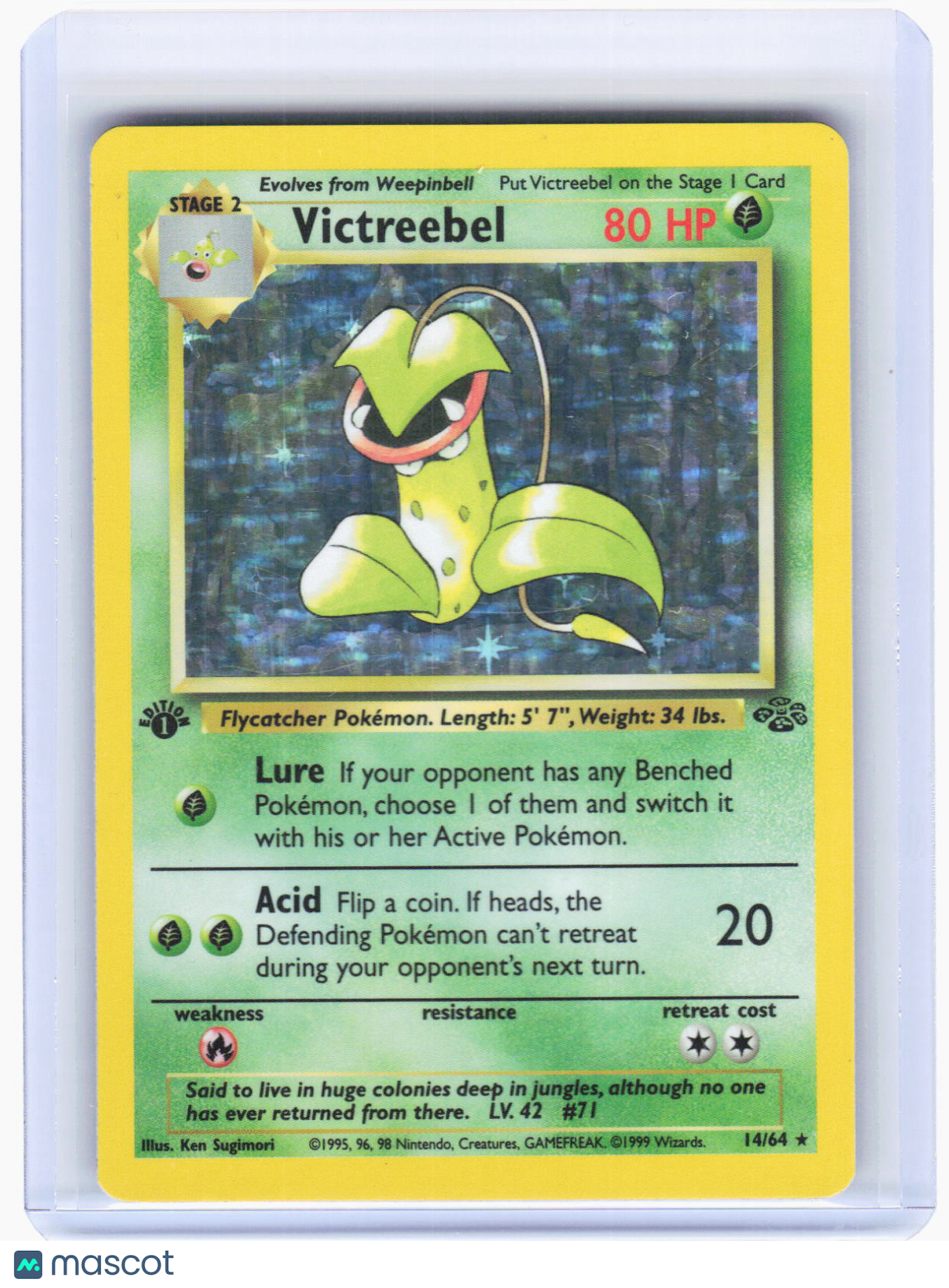 1999 Pokemon—Victreebel #14/64 Jungle—Holo Rare (HP) 1st Edition