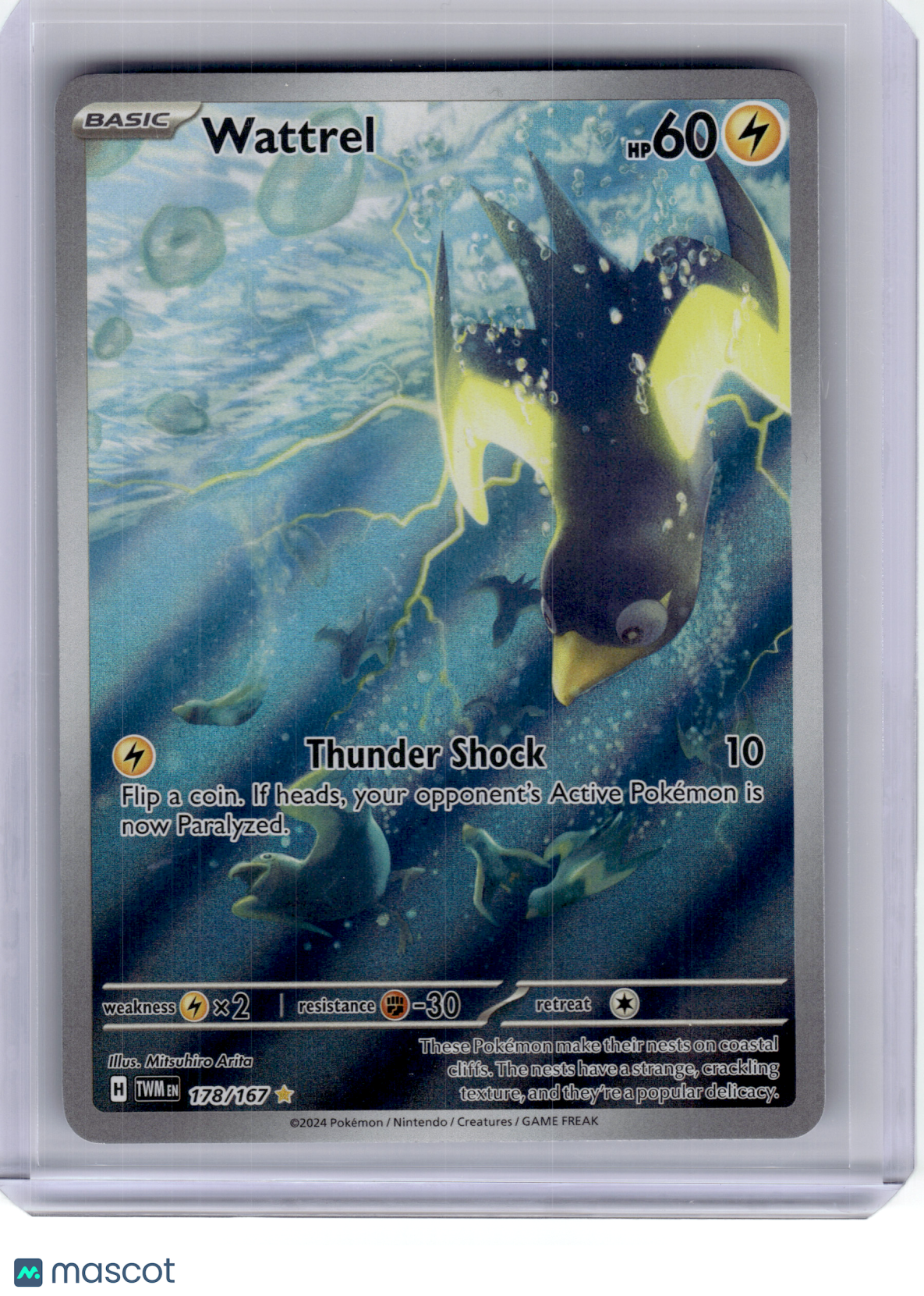 2024 Pokemon—Wattrel #178 Twilight Masquerade—Illustration Rare Holo