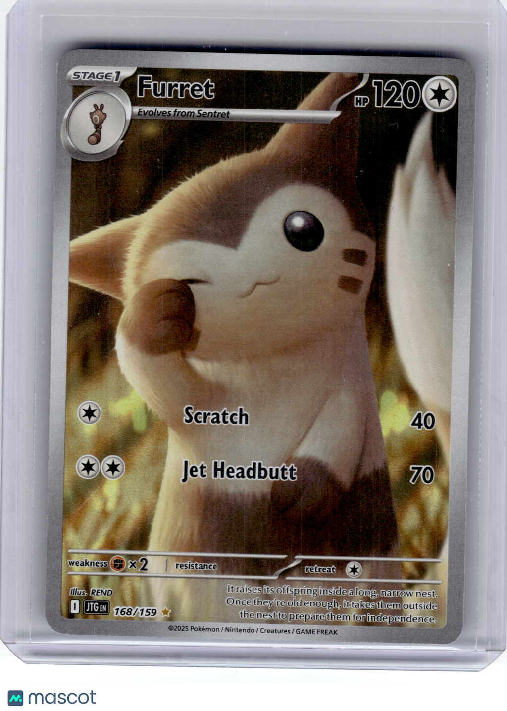 2025 Pokemon—Furret #168 Journey Together—Illustration Rare Holo