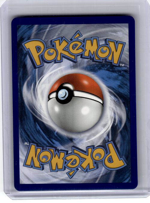 2020 Pokemon—Eevee V #SWSH065 Sword & Shield—Black Star Promo Holo