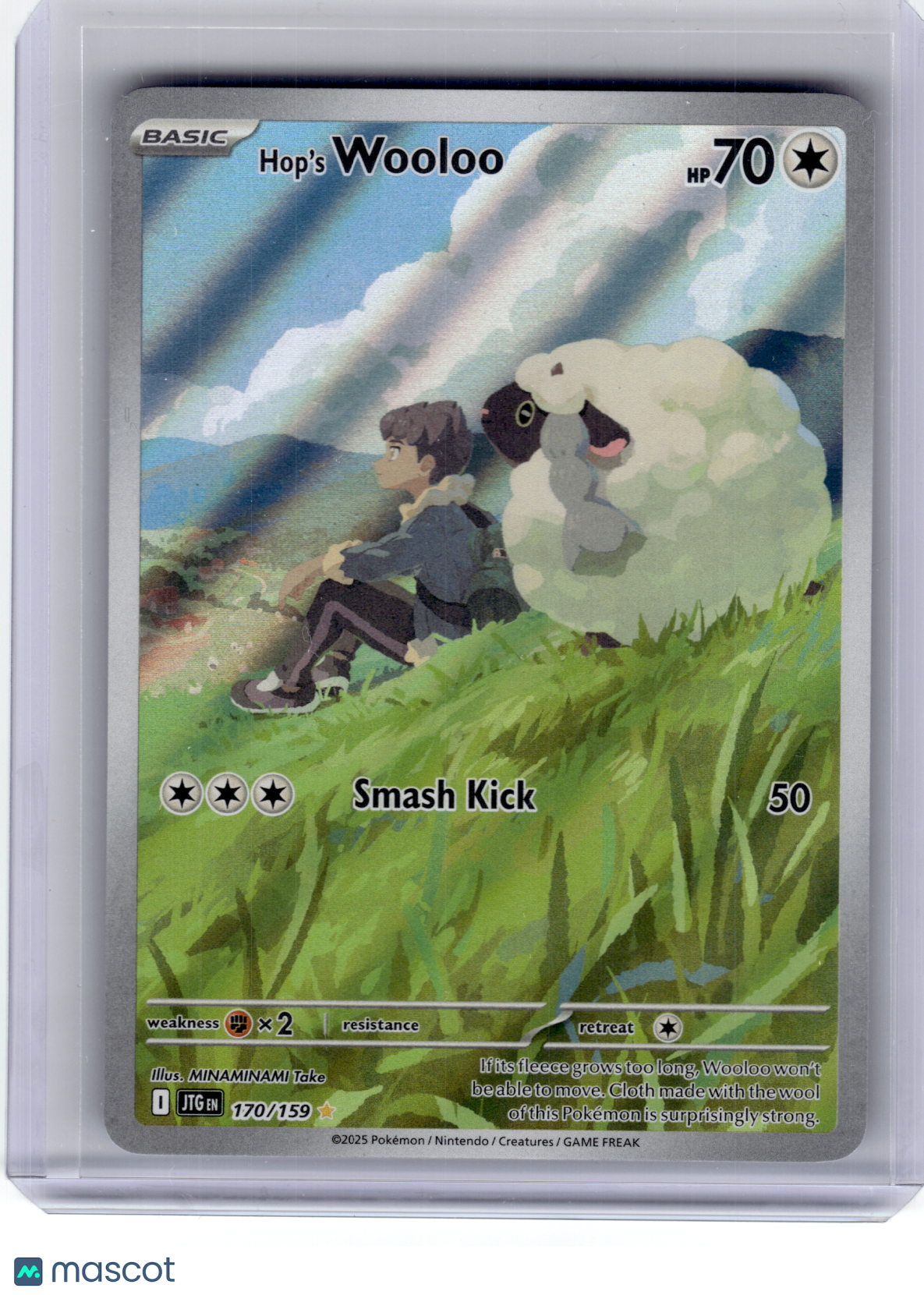 2025 Pokemon—Hop's Wooloo #170 Journey Together—Illustration Rare Holo
