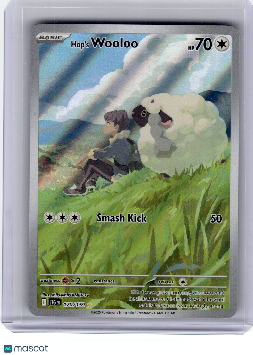 2025 Pokemon—Hop's Wooloo #170 Journey Together—Illustration Rare Holo