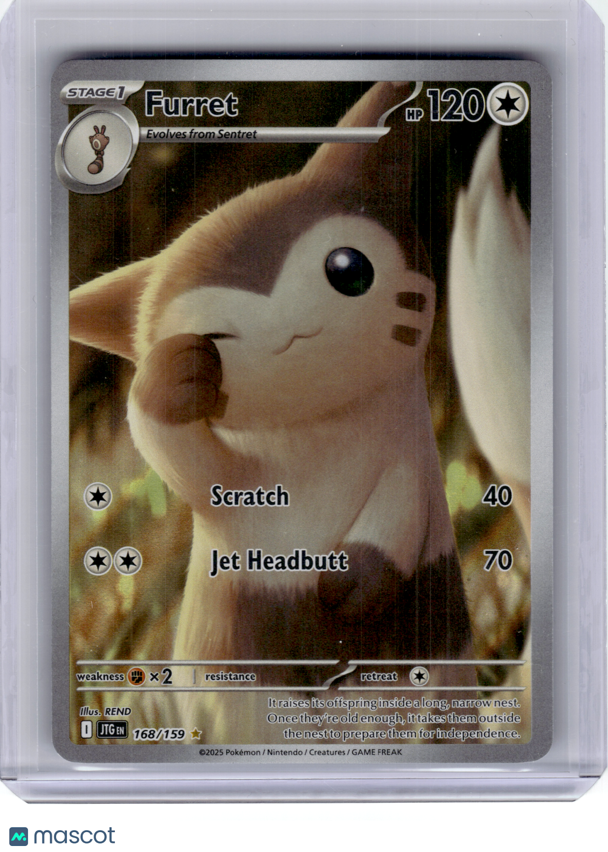 2025 Pokemon—Furret #168 Journey Together—Illustration Rare Holo