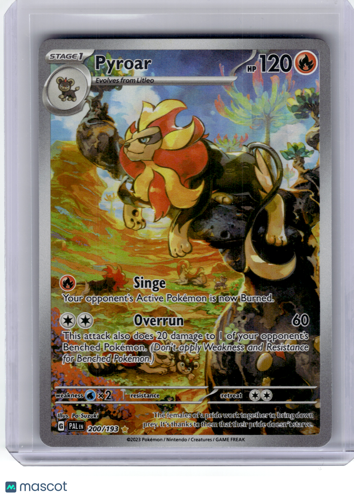2023 Pokemon—Pyroar #200 Paldea Evolved—Illustration Rare Holo