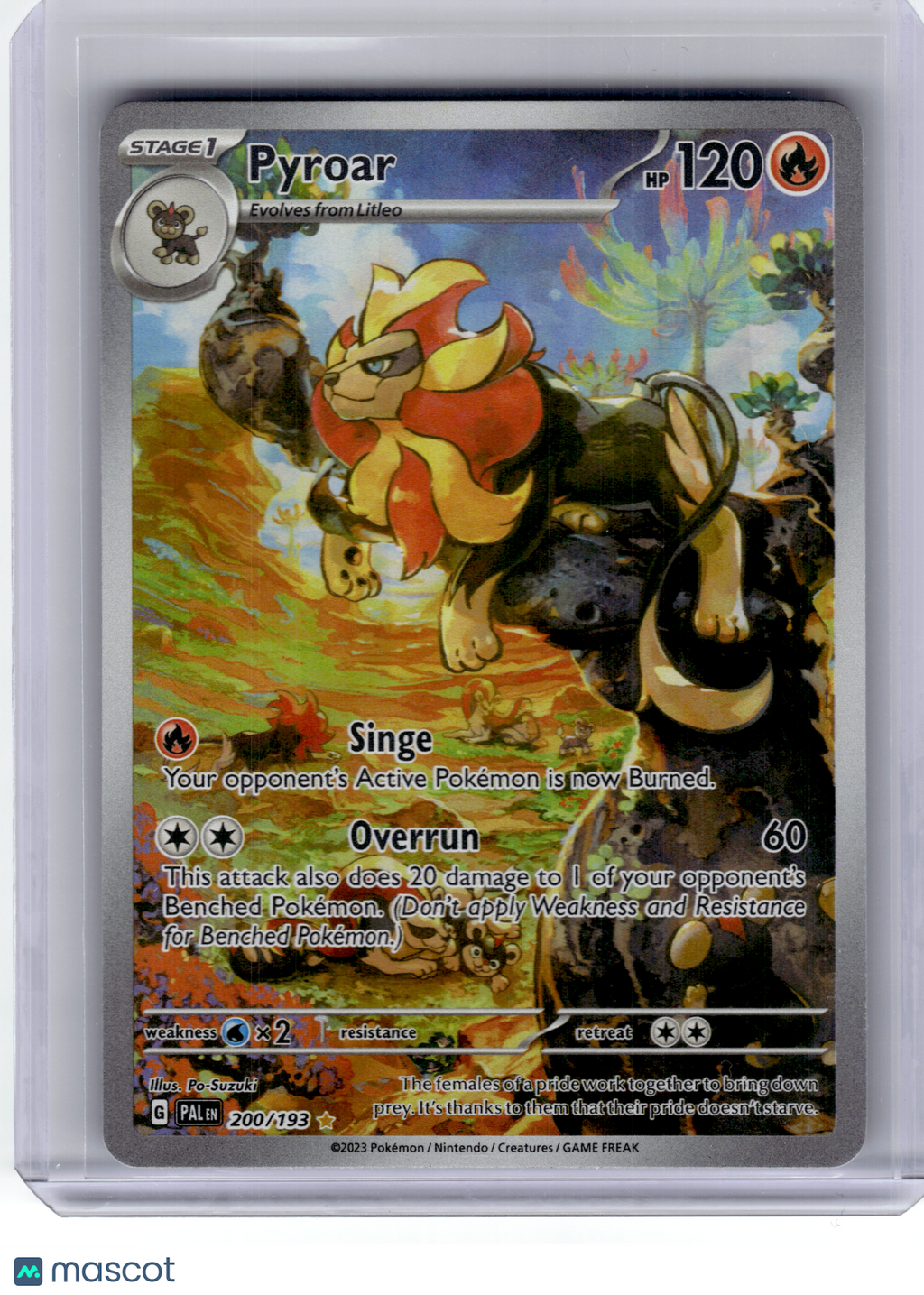 2023 Pokemon—Pyroar #200 Paldea Evolved—Illustration Rare Holo
