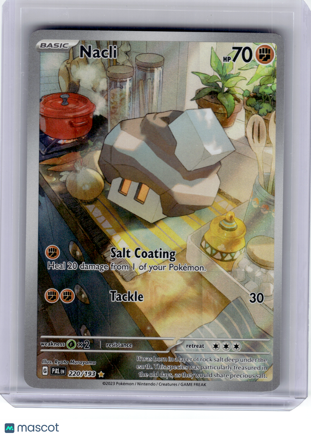 2023 Pokemon—Nacli #220 Paldea Evolved—Illustration Rare Holo