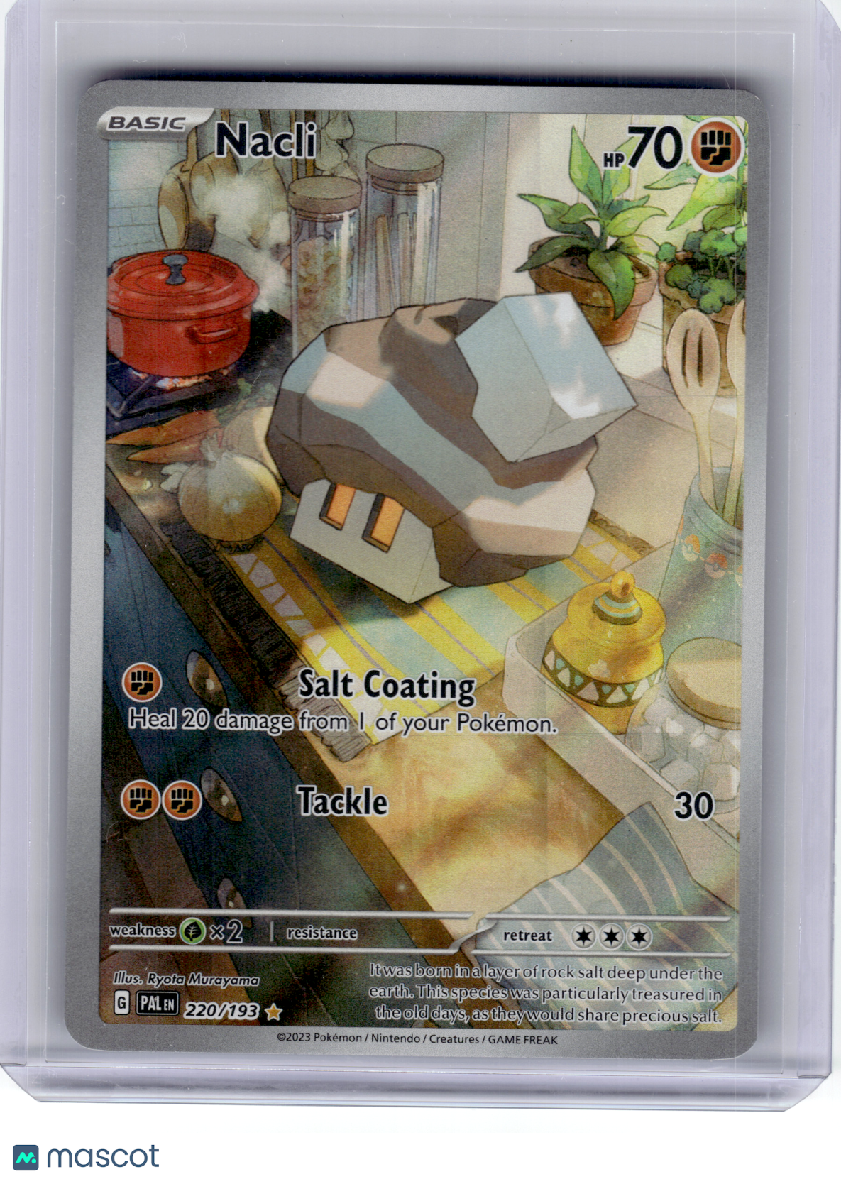 2023 Pokemon—Nacli #220 Paldea Evolved—Illustration Rare Holo